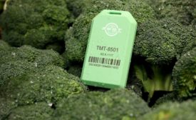 Zest Fresh IoT sensor