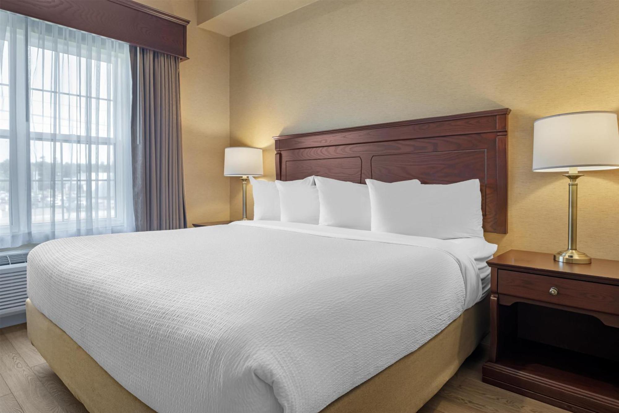 Staying in Acadia: 4 Best Western Plus Hotels Compared